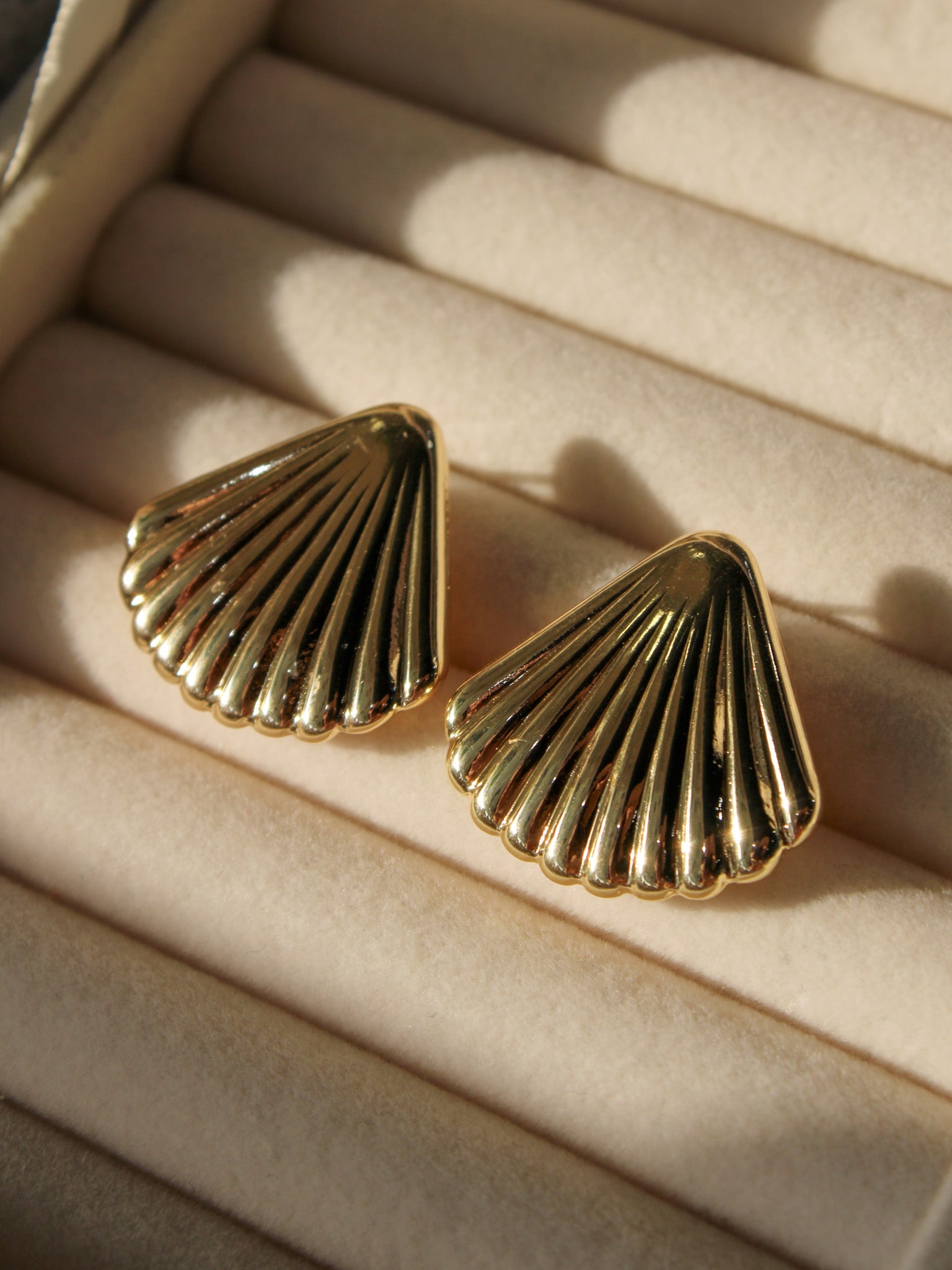 SEASHELL
